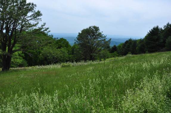 Cenário campestre da Blue Ridge Parkway, na Carolina do Norte - Estados Unidos